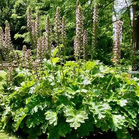 Bed & Breakfast Domaine De Rennebourg 3*