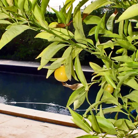 Domaine De Rennebourg Bed and Breakfast