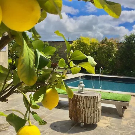 Domaine De Rennebourg Bed & Breakfast Saint Denis Du Pin