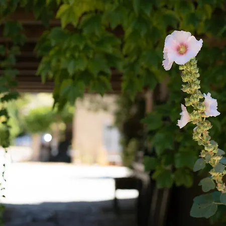 Domaine De Rennebourg Couette-café